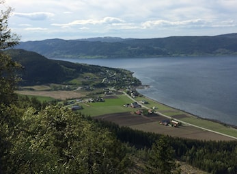 Ny hjemmeside for Viggja IL